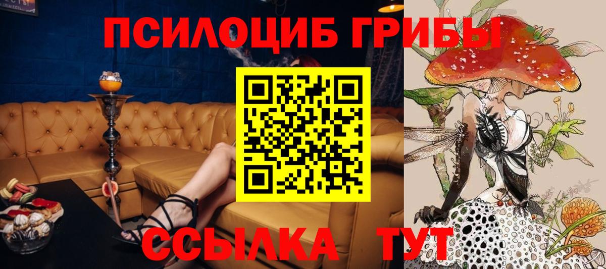 Псилоцибиновые грибы прущие грибы Белебей